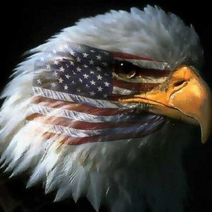 Meet your Posher, Eugene